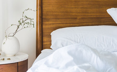 Comment se débarrasser des punaises de lit : conseils et astuces ?