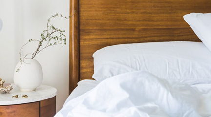 Comment se débarrasser des punaises de lit : conseils et astuces ?